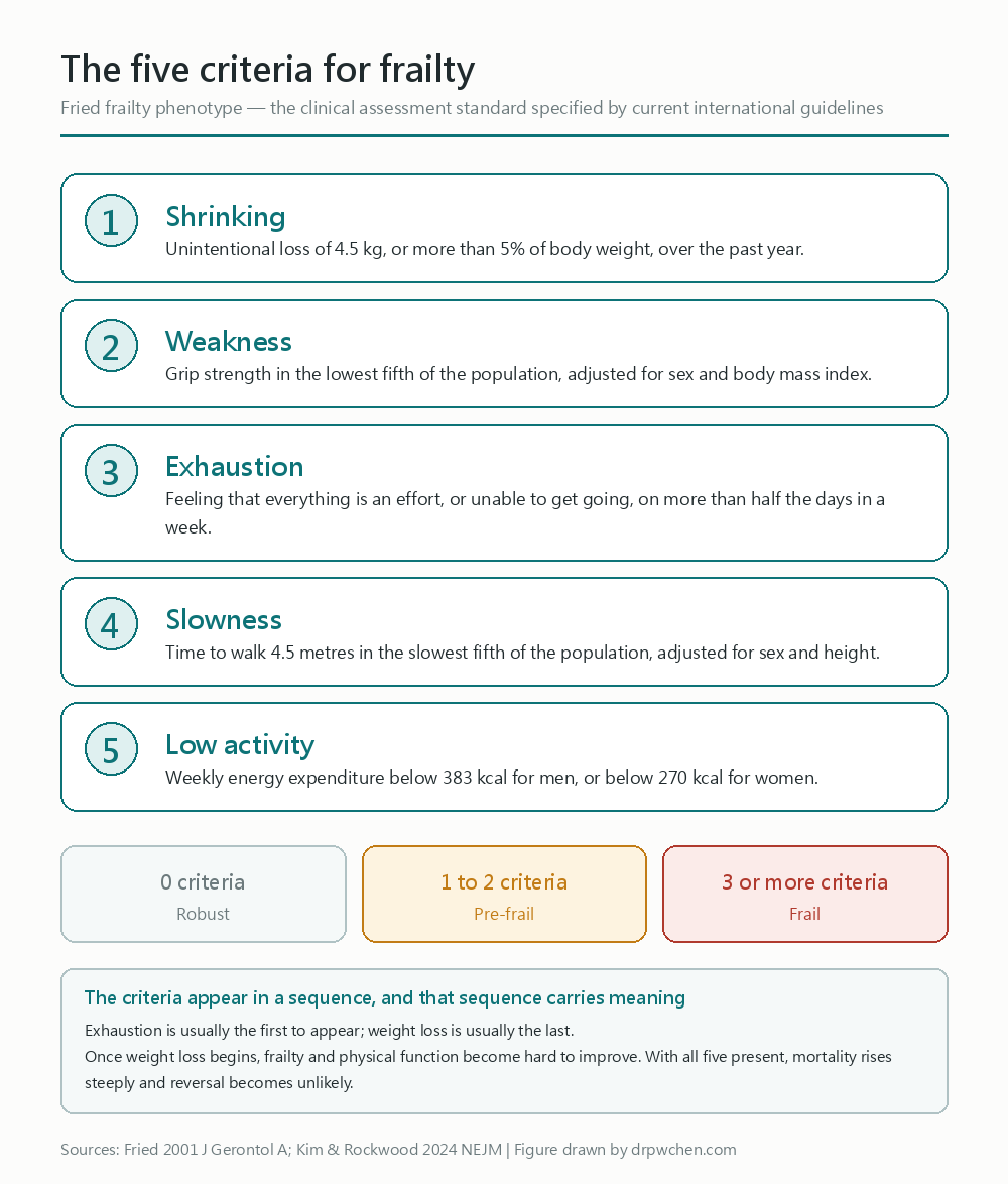 Five criteria for frailty: weight loss, poor grip strength, exhaustion, slow walking speed, low physical activity; three or more indicates frailty