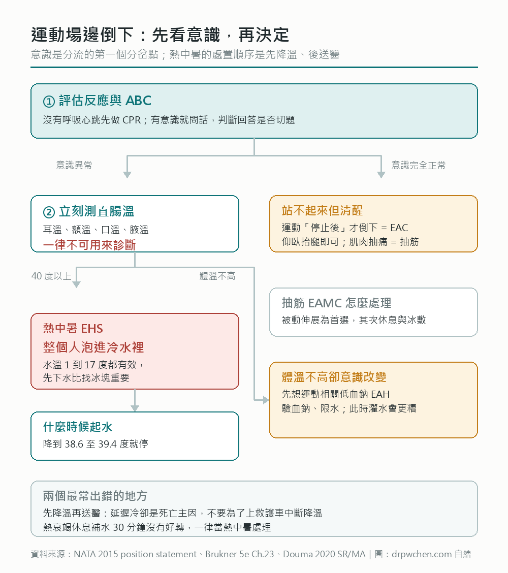 運動場邊倒下的分流：先看意識，意識異常者測直腸溫，40 度以上為熱中暑，立刻全身泡冷水並先降溫再送醫