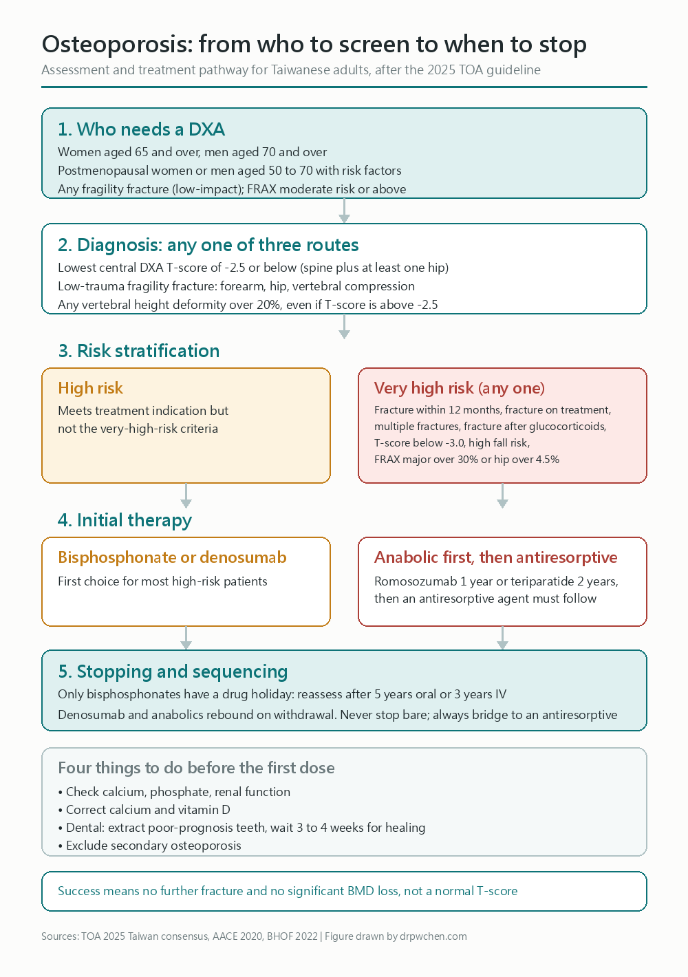 Osteoporosis treatment algorithm: Who should get DXA, the three diagnostic paths, risk stratification, initial drug choice, and rules for stopping or relaying meds
