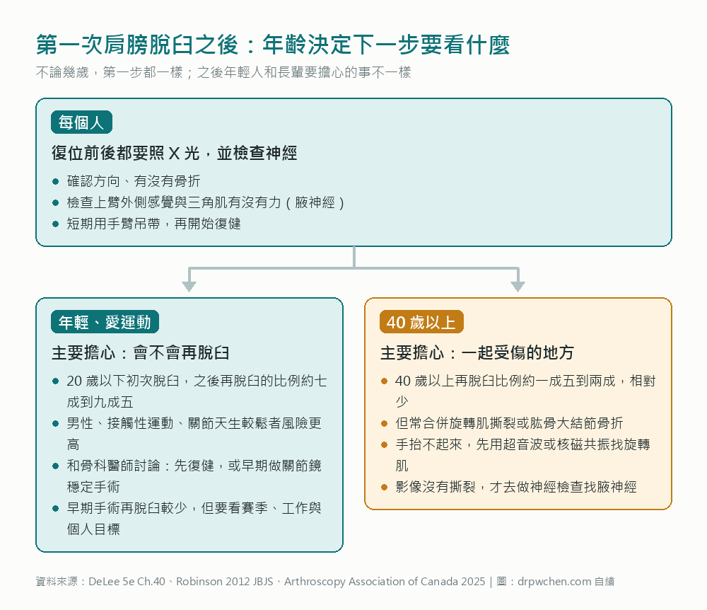 第一次肩膀脫臼之後,依年齡分兩條路:年輕人主要擔心再脫臼,四十歲以上主要擔心旋轉肌撕裂等合併傷