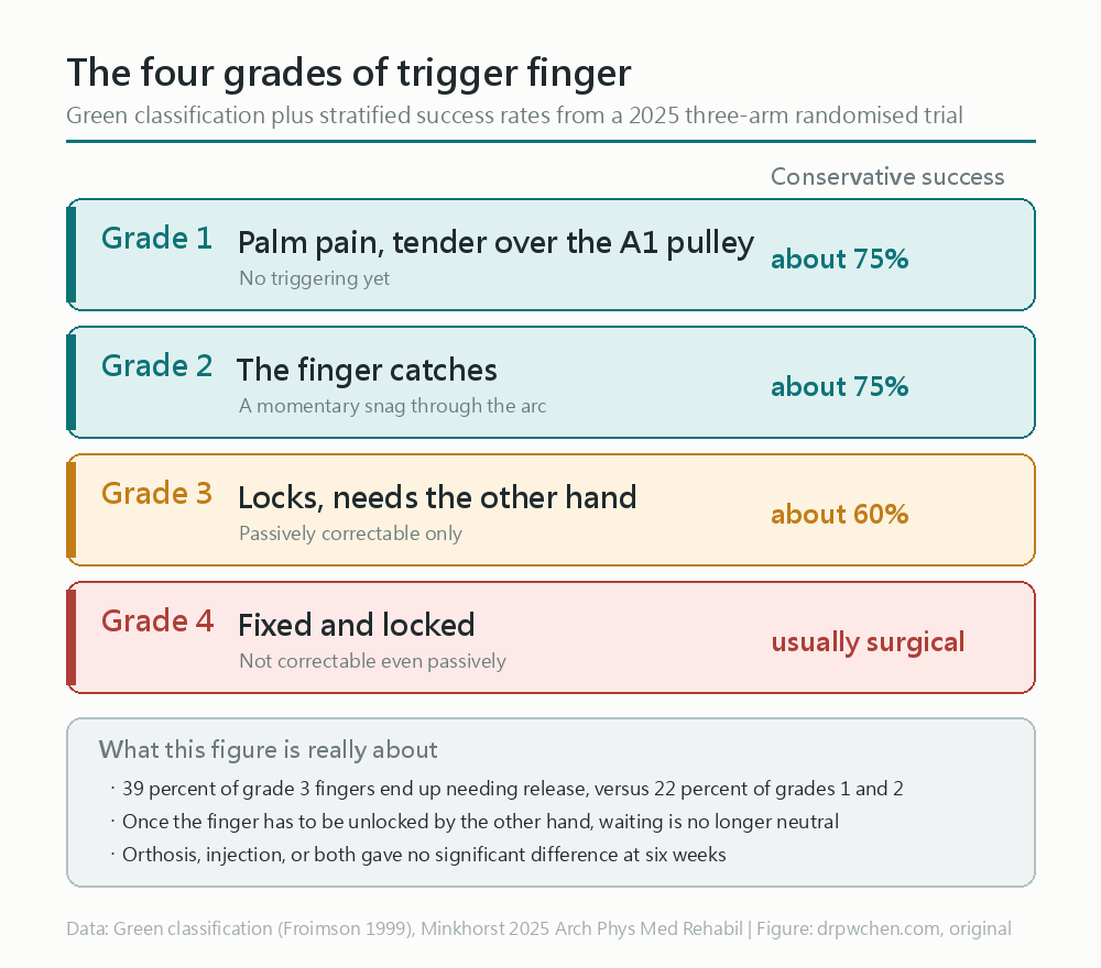 Green’s four grades of trigger finger: Grade 1 pain in the palm, Grade 2 finger catching, Grade 3 locked and needs prying open with the other hand, Grade 4 fixed and locked, with conservative treatment success rates for each grade