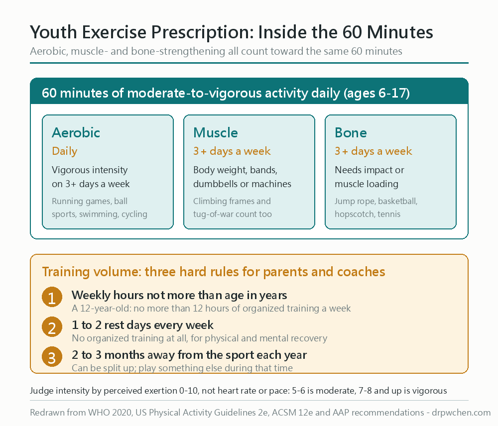 Youth exercise prescription: 60 minutes a day is made up of aerobic, strength, and bone-loading exercises combined, plus three training volume rules like weekly hours not exceeding age